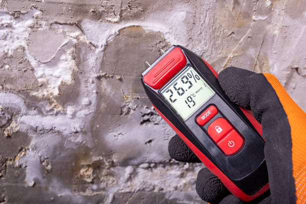 Best Crawl Space Mold Removal  in Third Lake, IL