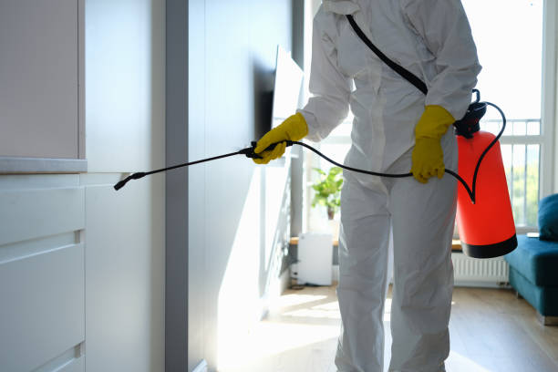 Best Toxic Mold Removal  in Third Lake, IL