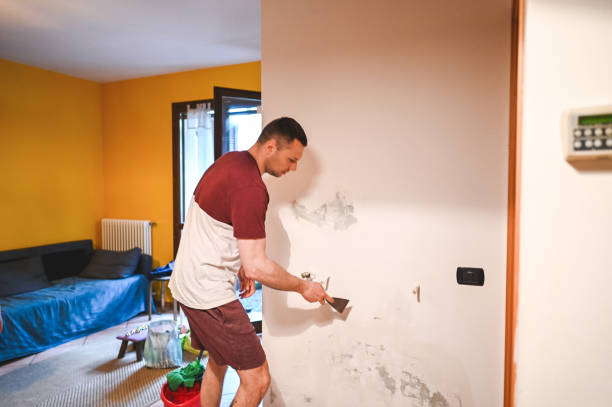 Best Office Mold Removal Services  in Third Lake, IL